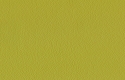 H435-Chartreuse